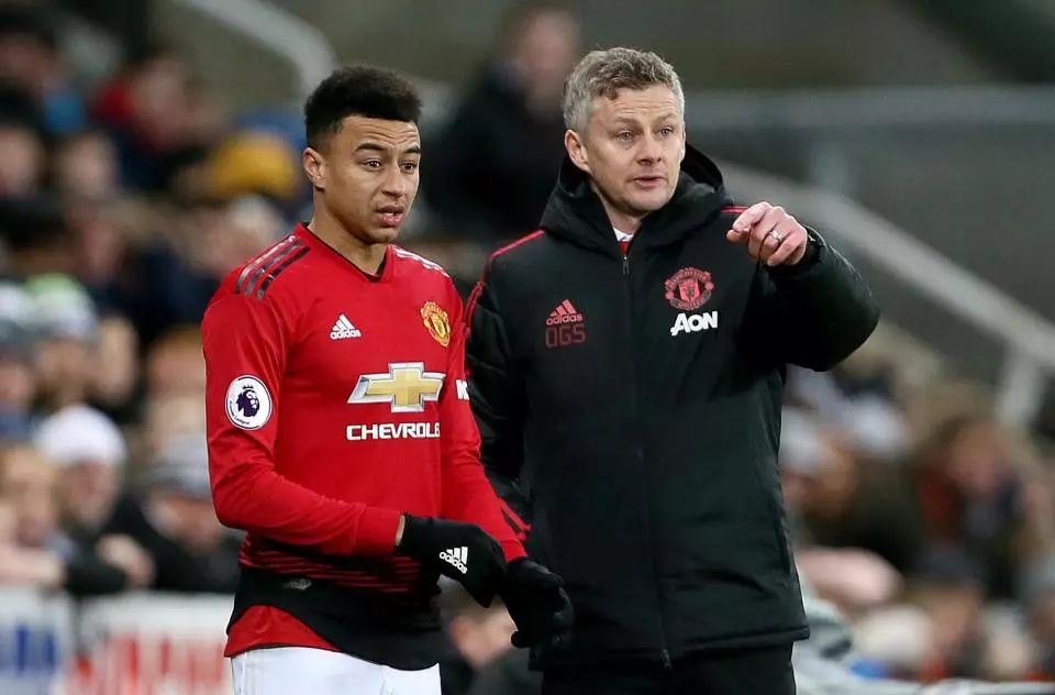 种程度上维 种程度上维